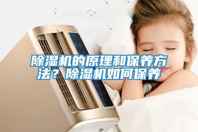 MR.好色破解版的原理和保养方法？MR.好色破解版如何保养