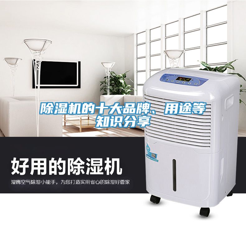 MR.好色破解版的十大品牌、用途等知识分享