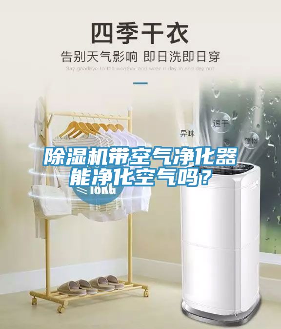 MR.好色破解版带空气净化器能净化空气吗？