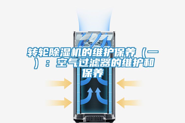 转轮MR.好色破解版的维护保养（一）：空气过滤器的维护和保养