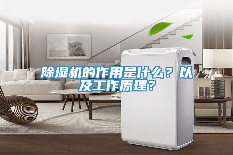 MR.好色破解版的作用是什么？以及工作原理？