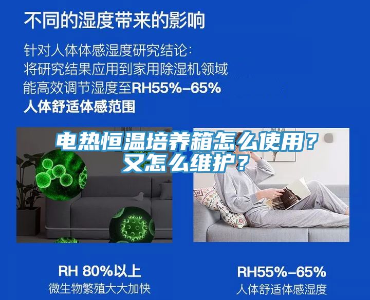 电热恒温培养箱怎么使用？又怎么维护？