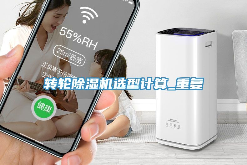 转轮MR.好色破解版选型计算_重复