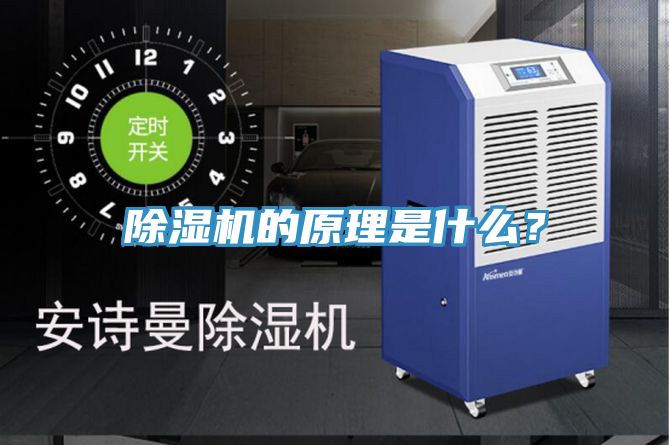 MR.好色破解版的原理是什么？