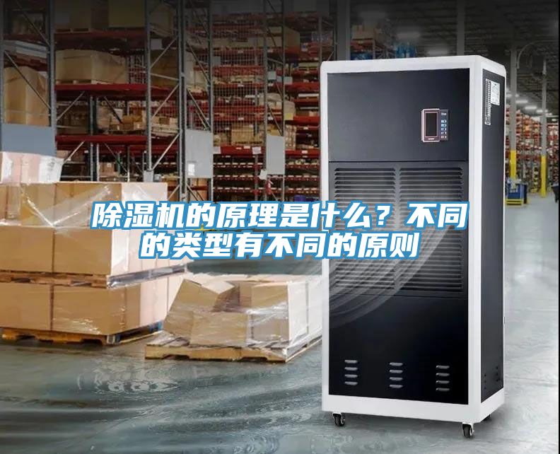 MR.好色破解版的原理是什么？不同的类型有不同的原则