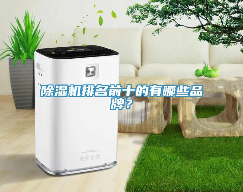 MR.好色破解版排名前十的有哪些品牌？