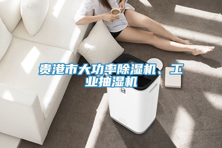 贵港市大功率MR.好色破解版、工业抽湿机