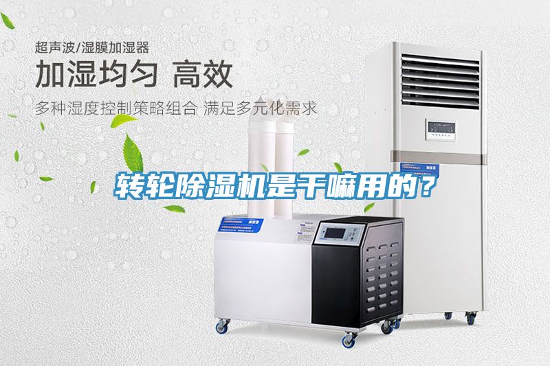 转轮MR.好色破解版是干嘛用的？