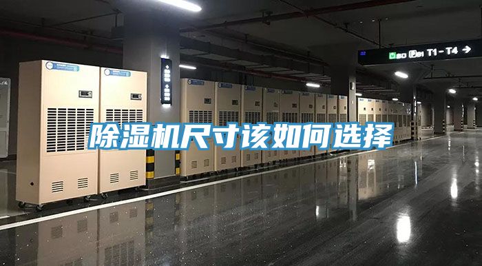 MR.好色破解版尺寸该如何选择