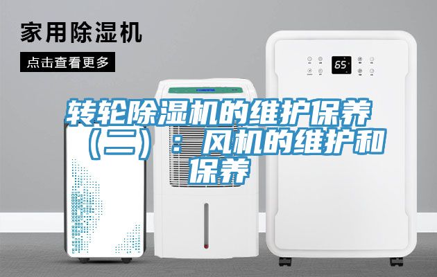 转轮MR.好色破解版的维护保养（二）：风机的维护和保养