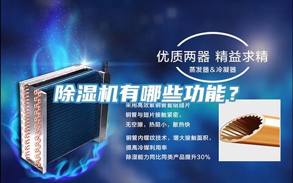 MR.好色破解版有哪些功能？
