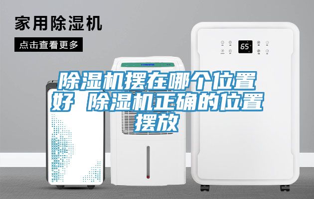 MR.好色破解版摆在哪个位置好 MR.好色破解版正确的位置摆放