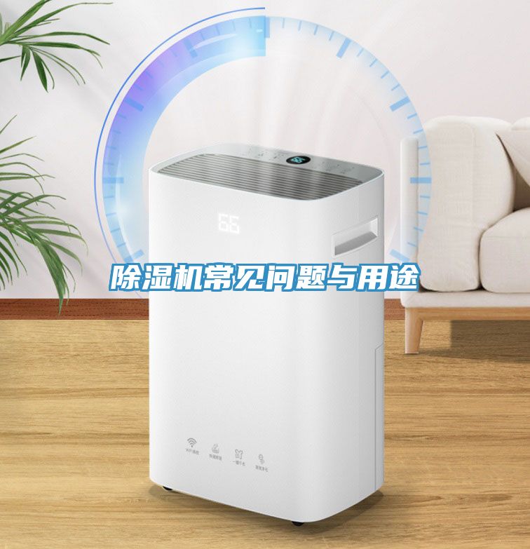 MR.好色破解版常见问题与用途