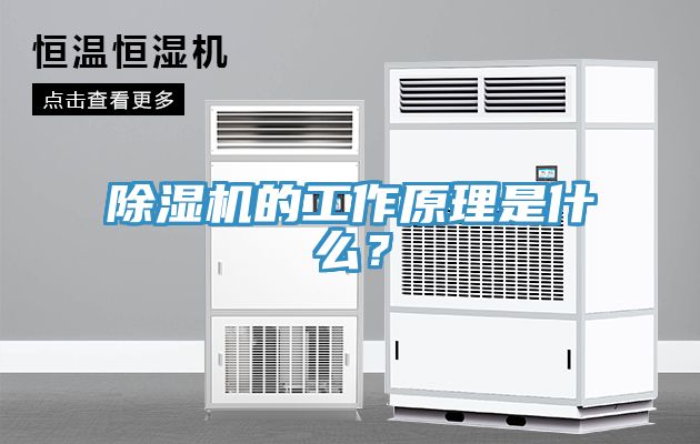 MR.好色破解版的工作原理是什么？