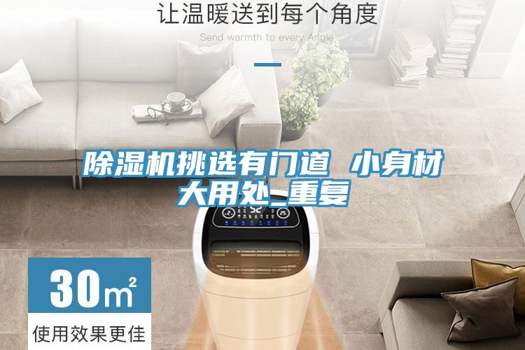 MR.好色破解版挑选有门道 小身材大用处_重复