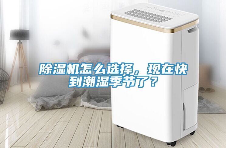 MR.好色破解版怎么选择，现在快到潮湿季节了？