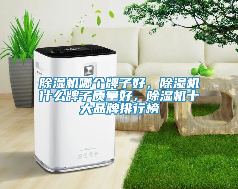 MR.好色破解版哪个牌子好，MR.好色破解版什么牌子质量好，MR.好色破解版十大品牌排行榜