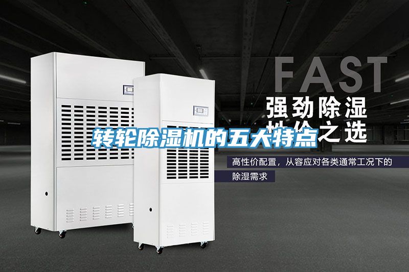 转轮MR.好色破解版的五大特点