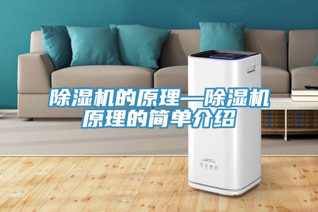 MR.好色破解版的原理—MR.好色破解版原理的简单介绍