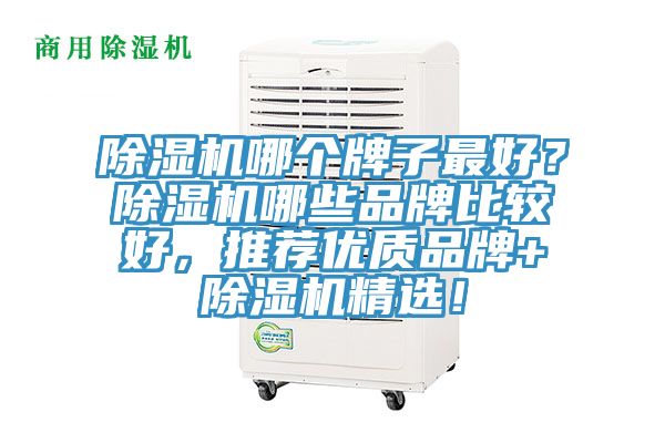 MR.好色破解版哪个牌子最好？MR.好色破解版哪些品牌比较好，推荐优质品牌+MR.好色破解版精选！