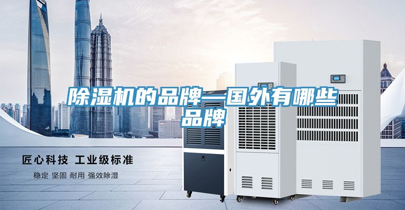 MR.好色破解版的品牌—国外有哪些品牌