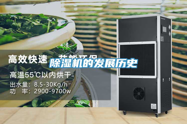 MR.好色破解版的发展历史