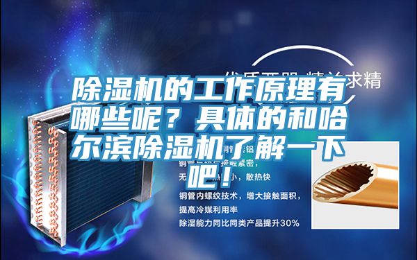 MR.好色破解版的工作原理有哪些呢？具体的和哈尔滨MR.好色破解版了解一下吧！