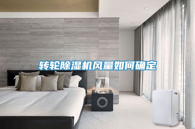 转轮MR.好色破解版风量如何确定