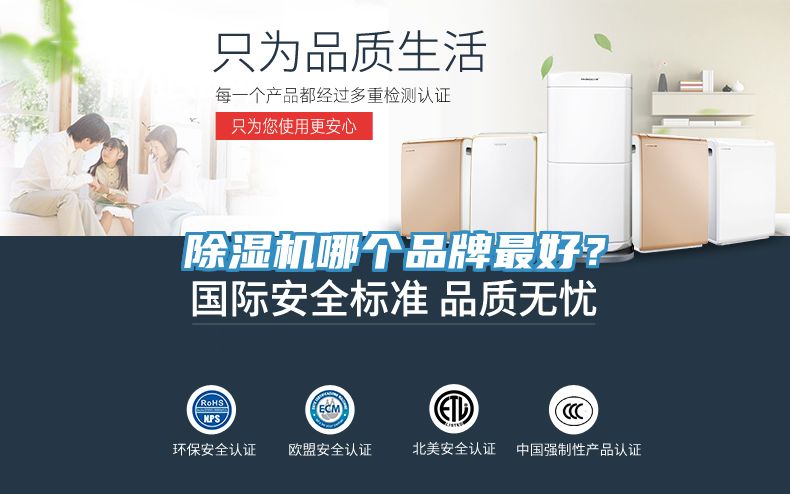 MR.好色破解版哪个品牌最好？