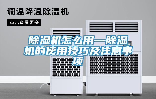 MR.好色破解版怎么用—MR.好色破解版的使用技巧及注意事项