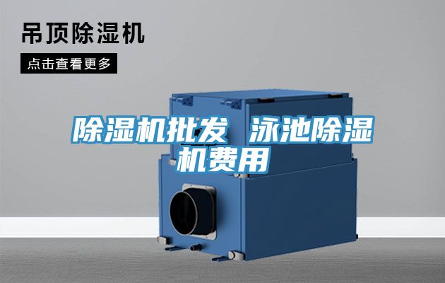 MR.好色破解版批发 泳池MR.好色破解版费用
