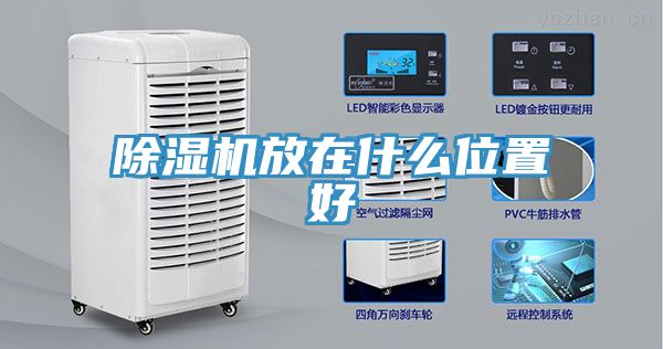 MR.好色破解版放在什么位置好