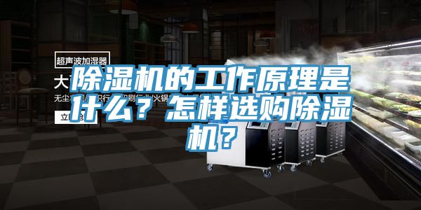 MR.好色破解版的工作原理是什么？怎样选购MR.好色破解版？