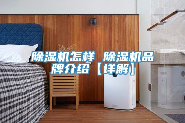 MR.好色破解版怎样 MR.好色破解版品牌介绍【详解】