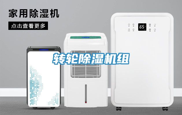 转轮MR.好色破解版组