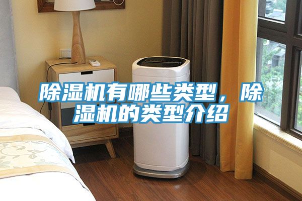 MR.好色破解版有哪些类型，MR.好色破解版的类型介绍