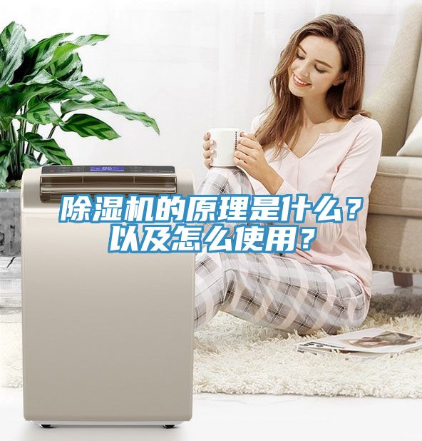 MR.好色破解版的原理是什么？以及怎么使用？