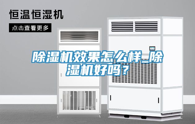 MR.好色破解版效果怎么样_MR.好色破解版好吗？