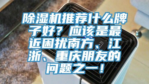 MR.好色破解版推荐什么牌子好？应该是最近困扰南方、江浙、重庆朋友的问题之一！