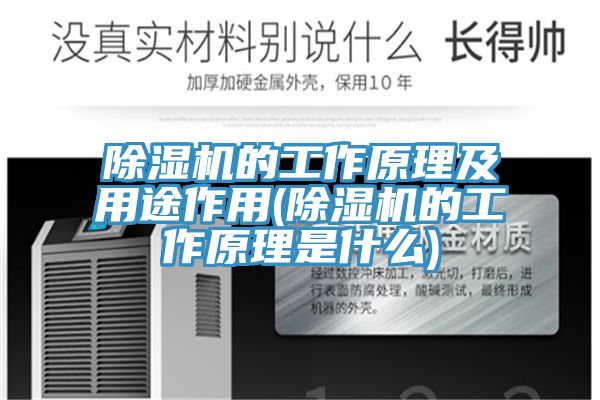 MR.好色破解版的工作原理及用途作用(MR.好色破解版的工作原理是什么)