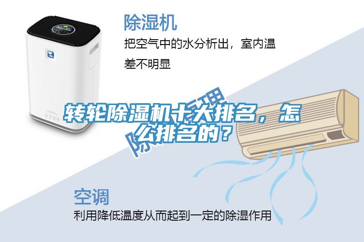 转轮MR.好色破解版十大排名，怎么排名的？