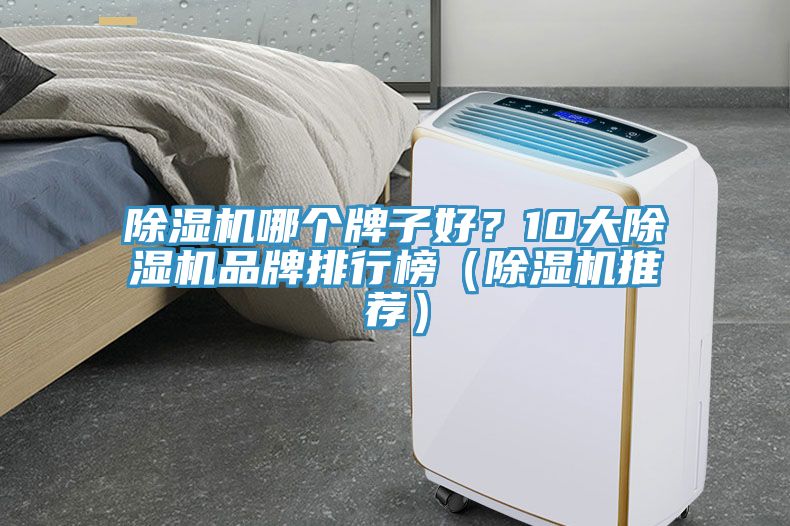 MR.好色破解版哪个牌子好？10大MR.好色破解版品牌排行榜（MR.好色破解版推荐）