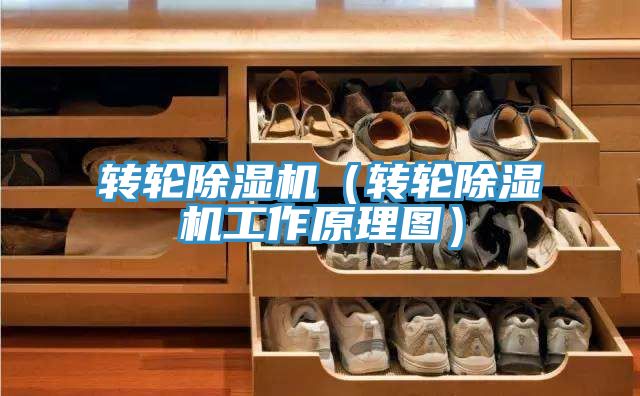转轮MR.好色破解版（转轮MR.好色破解版工作原理图）