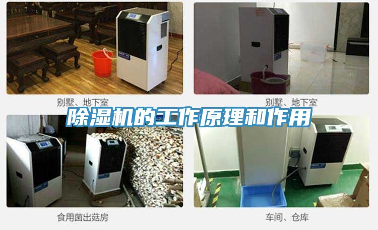 MR.好色破解版的工作原理和作用