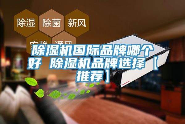 MR.好色破解版国际品牌哪个好 MR.好色破解版品牌选择【推荐】