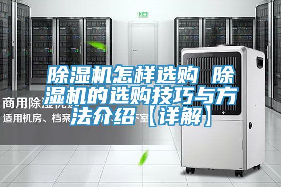 MR.好色破解版怎样选购 MR.好色破解版的选购技巧与方法介绍【详解】