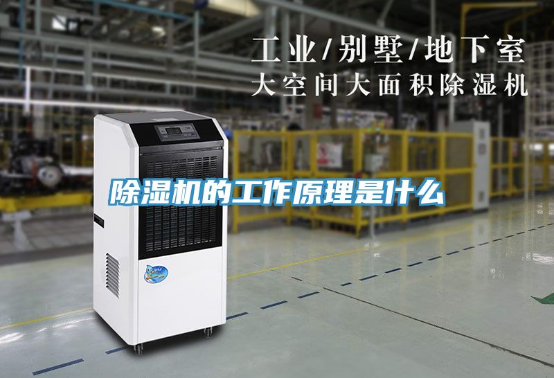 MR.好色破解版的工作原理是什么