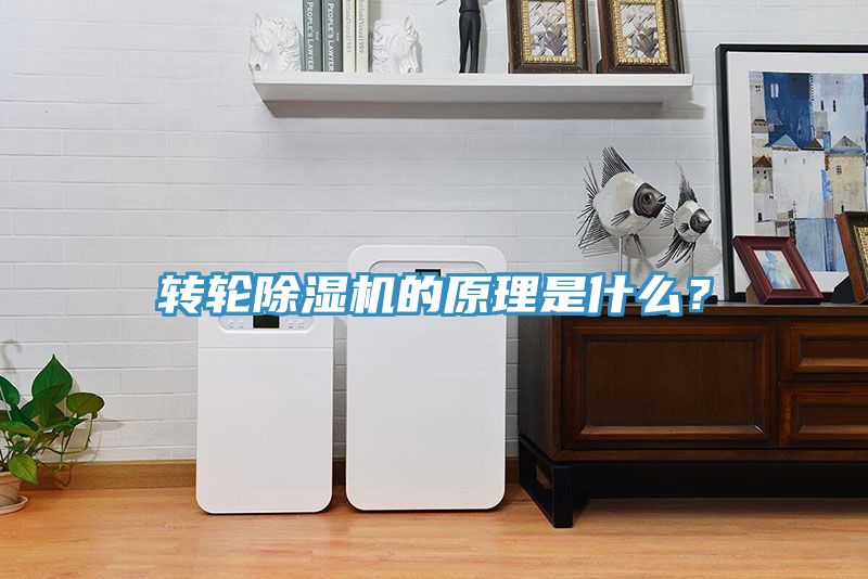 转轮MR.好色破解版的原理是什么？