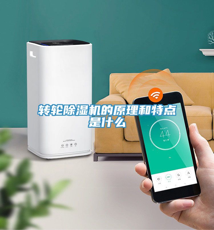 转轮MR.好色破解版的原理和特点是什么