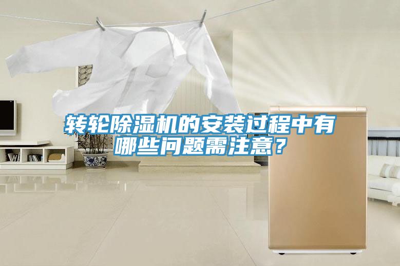 转轮MR.好色破解版的安装过程中有哪些问题需注意？